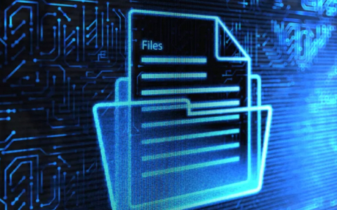 可信电子文档服务软件